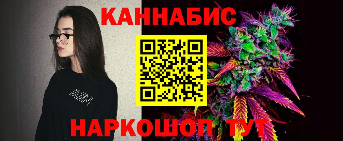 Конопля гибрид Можга